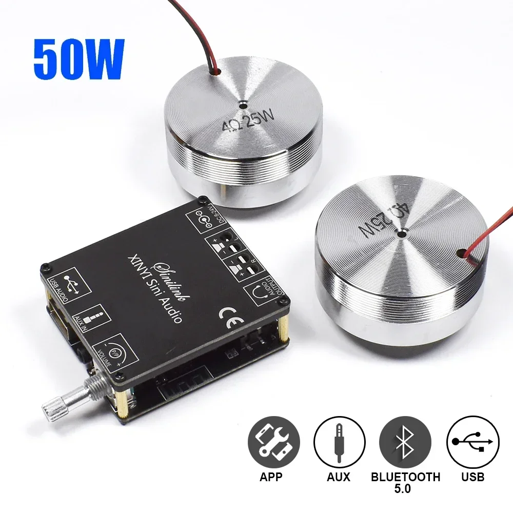 Home Cinema Diy - Haut-parleur stéréo Portable à vibrations, 2x25W,