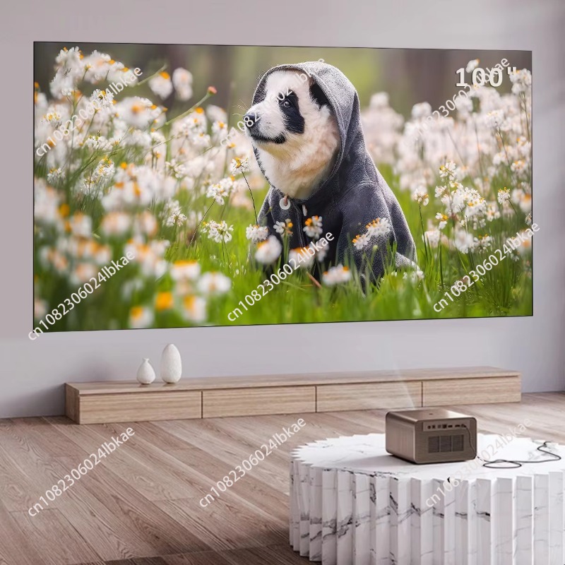 Écran de projection fixe 100 p - Projector Screen 100 Inch avis et prix