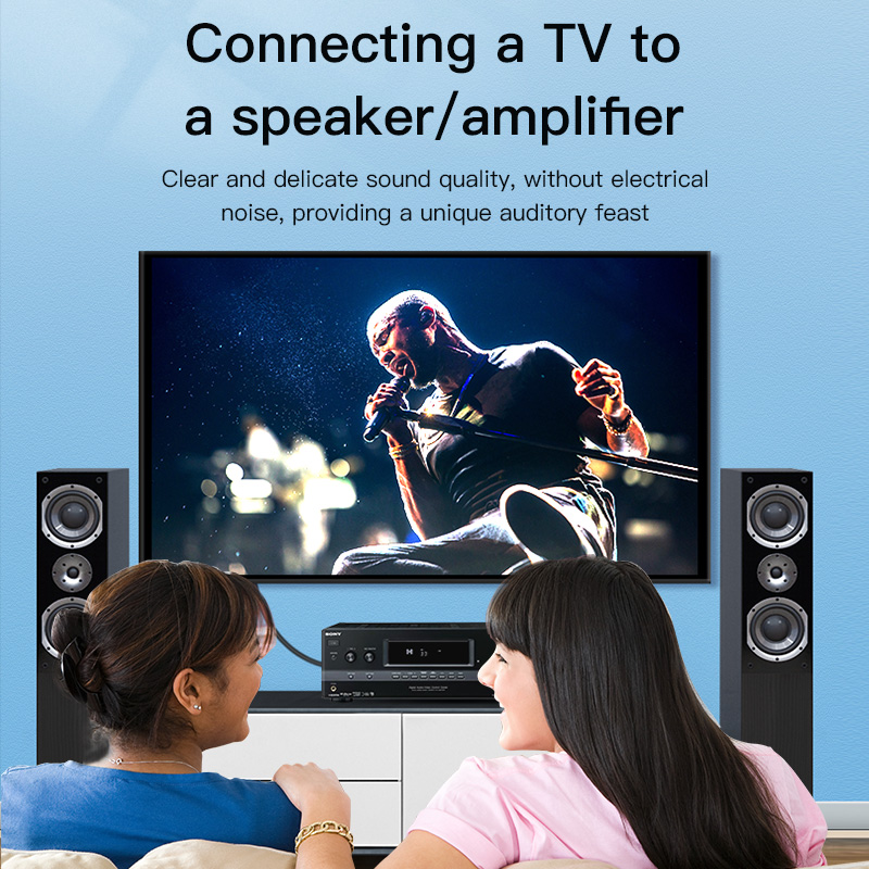 Câble RCA CHOSEAL, câble audio - Home Cinema Furniture avis et prix